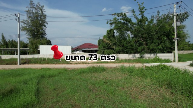 ขายที่ดินถมแล้ว 73 ตรวา วิวภูเขา พร้อมทำเลใกล้เมืองเชียงใหม่