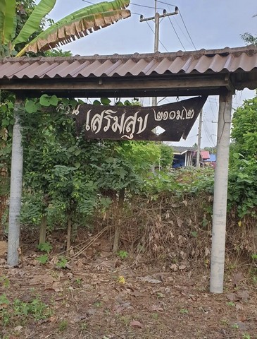 ขายที่ดิน ดินเปล่า นครนายก ปากพลี