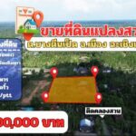 ขายที่ดินแปลงสวย ต.บางตีนเป็ด อ.เมือง จ.ฉะเชิงเทรา เนื้อที่ 3 ไร่ 9 ตร.ว. โทร 081-435-2828