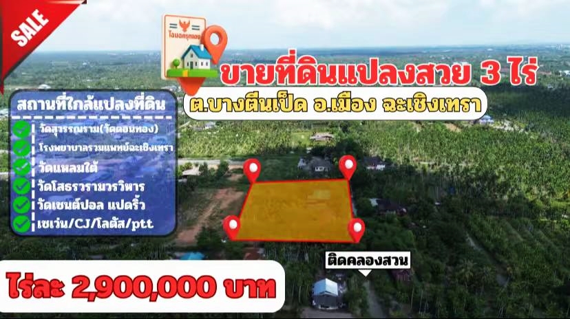 ขายที่ดินแปลงสวย ต.บางตีนเป็ด อ.เมือง จ.ฉะเชิงเทรา เนื้อที่ 3 ไร่ 9 ตร.ว. โทร 081-435-2828