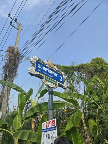 บ้านเดี่ยว ขาย Luxury-detached-house-for-sale, in-Sukhumvit71,SoiPridiBanomyong26 Luxury-detached-house-for-sale, rightintheheartofSukhumvit บ้านเดี่ยวหรู2ชั้นพร้อมสระว่ายน้ำสุขุมวิท