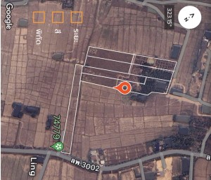 ที่ดิน ขาย ติดถนนบ้านบูชา-ป่าสัก ขายที่ดินอำเภอเมืองลำพูนราคาถูก เจ้าของขายเอง ตำบลป่าสัก ใกล้แหล่งชุมชน-ตลาด-ห้าง-โรงพยาบาล