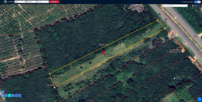 ขาย ที่ดิน ที่ดินป่าบอนถูกกว่าใกล้เคียง อสังหาพัทลุงราคาคุ้มสุด ที่ดินพัทลุงราคาถูก พร้อมไฟฟ้าน้ำประปา ติดถนนเพชรเกษม